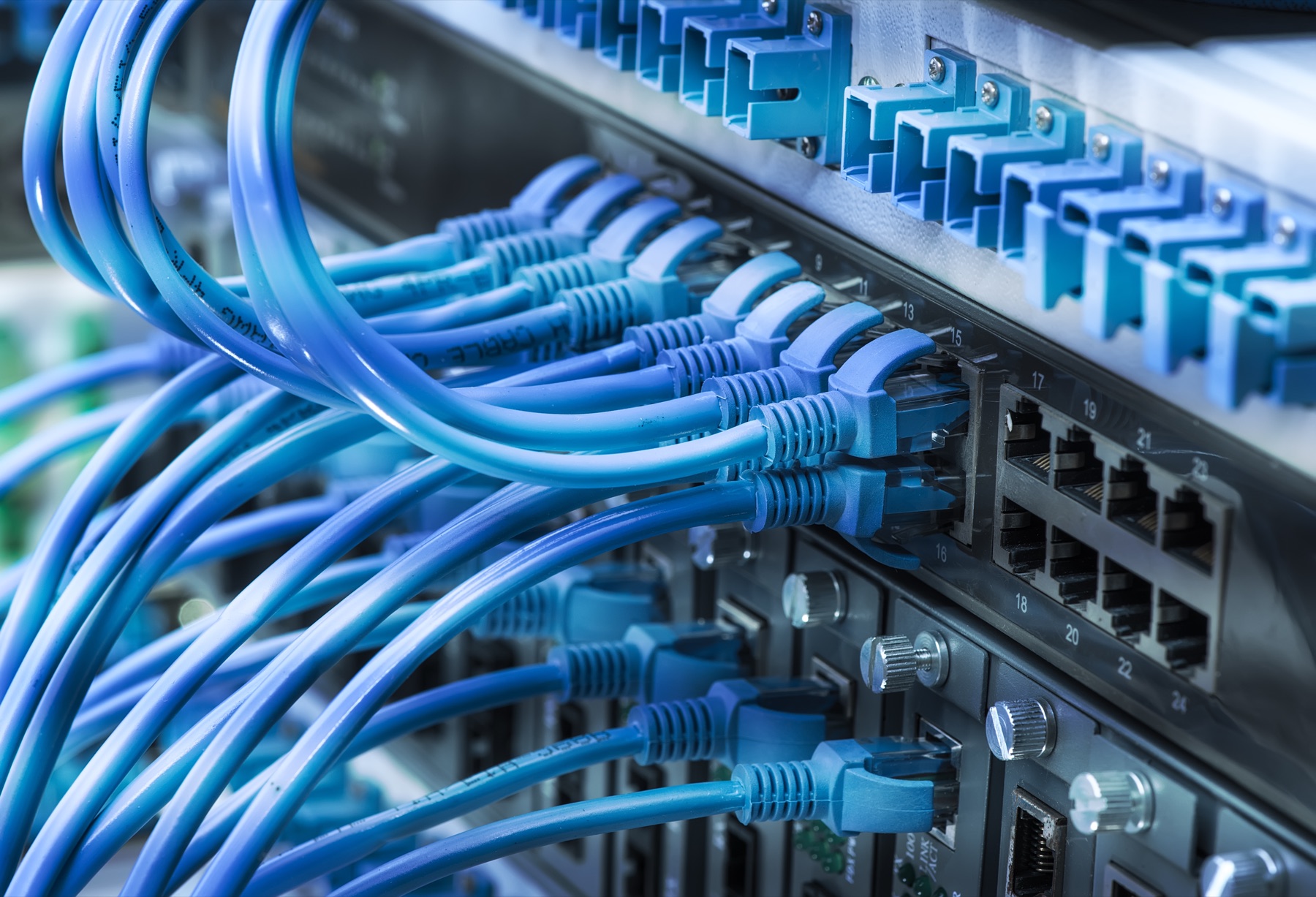 Patch panel with blue network leads
